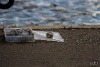 IMG_1315