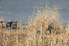 IMG_718212