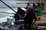 DSC_7554.NEF.jpg