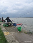 IMG_0017.JPG