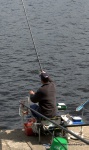 DSC_8532.NEF.jpg