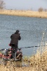 IMG_744112