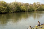 DSC_9394.jpg