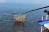 IMG_1765