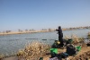 IMG_719212
