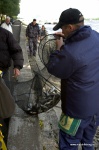 DSC_8392.NEF.jpg