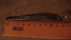 DSC02488