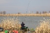 IMG_7624