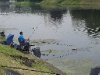 IMG_2399