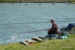 DSC_8163.JPG