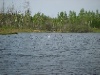 S8001933