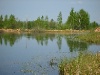 S8001976