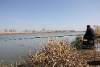 IMG_719112