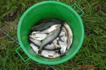 DSC03712.JPG