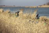 IMG_738112