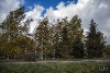 IMG_1536