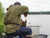 bream
