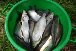 DSC03719.JPG