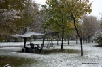 DSC_0040.NEF.jpg