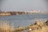 IMG_7754