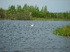 S8001936