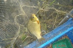 DSC03782.JPG