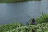 DSC01987