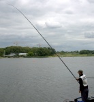 DSC_0878.jpg