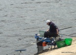 DSC_8521.NEF.jpg