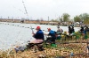 MVN_1819