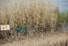 IMG_7704
