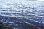 DSC03854.JPG