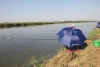 IMG_57237