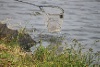IMG_1982