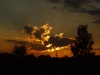 from_the_train_window