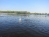 IMG_5007