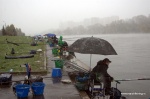 DSC_9972.NEF.jpg