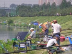   26. 2010