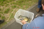 DSC03802.JPG