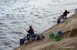DSC_8387.NEF.jpg