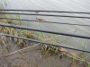 IMG_1767
