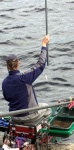 DSC_8526.NEF.jpg