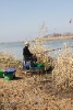 IMG_719812
