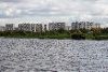 IMG_1307