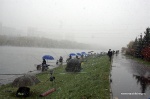 DSC_9964.NEF.jpg