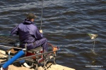 DSC_8564.NEF.jpg