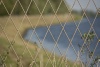 IMG_4641