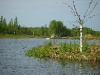 S8001929