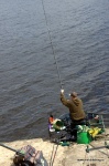 DSC_8533.NEF.jpg