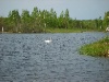 S8001937